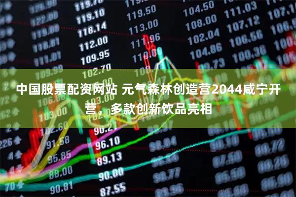 中国股票配资网站 元气森林创造营2044咸宁开营，多款创新饮品亮相